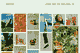 Blured gif of project - Alistair Matthews)